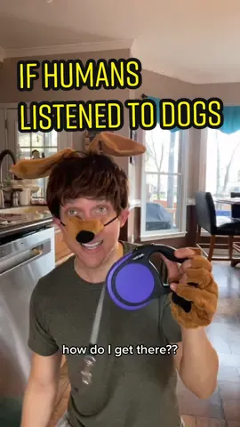 If humans listened to dogs #fyp #dogs #relatable #comedy #pets 