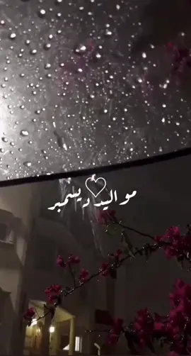 #ديسمبر #مواليد #شتاء #مطر 