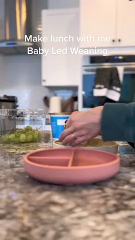 #blw #babyledweaning #babyledweaningideas #babyledfeeding 