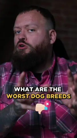 Worst dog breeds for children #fyp #dogbreeds #children 