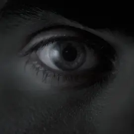 compulsion                                               #tvd #thevampirediaries #elenagilbert #stefansalvatore #damonsalvatore #aestheticedit #fyp #edit ib:@glbrtfvngs 