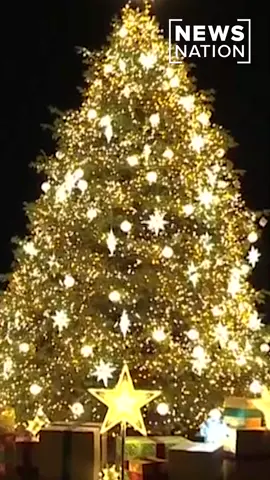 A large crowd gathered with President #JoeBiden and first lady #JillBiden for the 100th National Christmas Tree Lighting Ceremony. #whitehouse