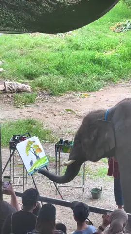 Pinta y colorea #elefante #elefantepintor #pintores 