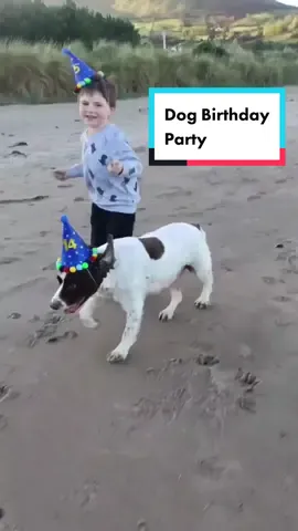 Would you throw your dog a birthday party? #dogsoftiktok #dogbirthdayparty #goodnews #birthday #cute 