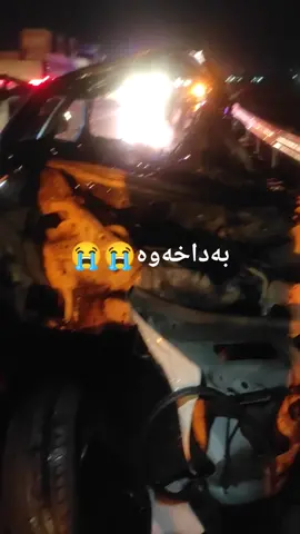 #حادیسەی_سەیارە 😭😭