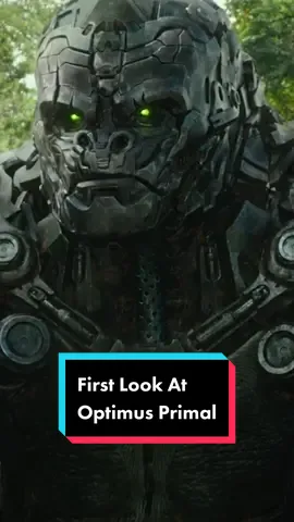 🚨NOT A DRILL! Optimus Primal has made his debut! 🚨#Transformers #RiseOfTheBeasts will hit theaters June 9! #movietok #optimusprimal #ronpearlman 