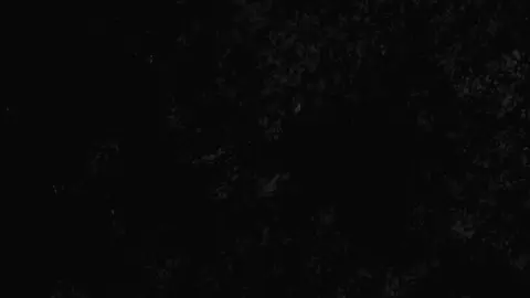 Link nos comentários!!!