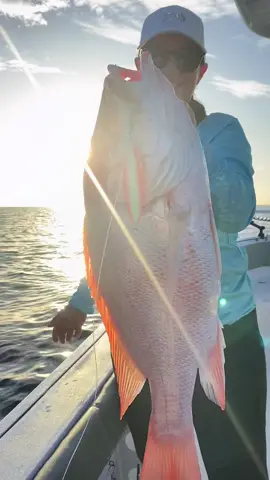 A very welcome sight 😍😍 #nannygai #deepseafishing #fishing #girlsthatfish #fishinglure #jigging #saltwaterfishing #australia #reeffishing #fishergirl #greatbarrierreef @Daiwa Australia 