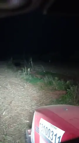 assombração no canavial 👻👻👻#famtasma #almapenada #medo #sobrenatural 