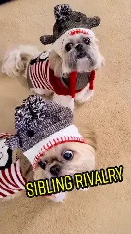 Sibling Rivalry #whatareyouwearing #Twinning #followformorecuteness 