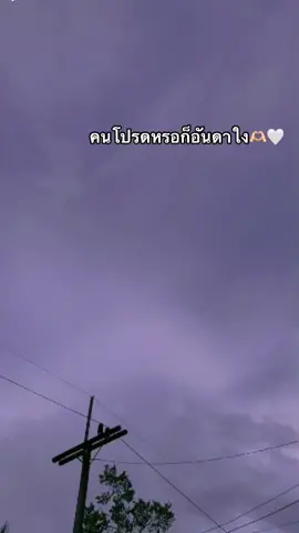 ตอบกลับ @Mark 100Y #fypシ #เธรดเศร้าシ #ยืมลงสตอรี่ใด้น้าา #ขอบคุณที่กดใจและกดติดตาม🥰 #สาวไม่หยึ่งน้าาา #ไม่ฟีดงอลครับ💥💢 #อย่าปิดการมองเห็น 