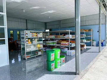 Khởi nghiệp 🥳🥳🤩 #bvtv #thuocbaovethucvat #mientay #longan 