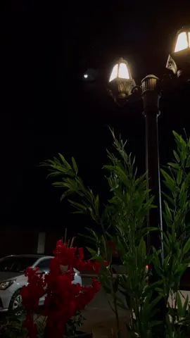 ربي الهمني الصبر حين يضعف قلبي حزنًا ..  #قران #آيات #المدينه_المنوره #الله #سكينة #foryoupage #اكسبلور_explore #فلايحزنك_قولهم #اكسبلور_explore #اكسبلور_explore #الجنة #القرآن_الكريم #CapCut #عبدالرحمن_مسعد #fyp #واصبر_على_مايقولون 