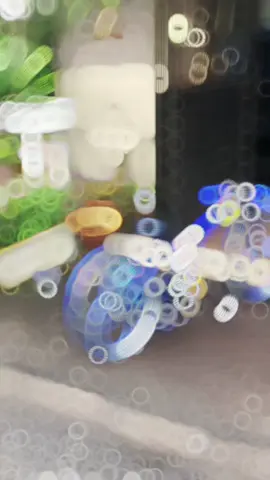 #shahrul7766 #melakastayle🚀 #lajakmalaysia #budaklajakbersatu #lajakhobikami #masukberandafyp 