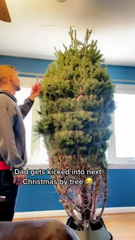If that isn't the most Clark Griswold thing I have seen in awhile 😂 (@collab) #fyp #xmas #xmastree #christmas #christmastree #tree #christmas2022 #christmastiktok #festive #banter #lol #fail #fails #fall #dad #worldcup #england #irish #ireland #irishtiktok #itscominghome
