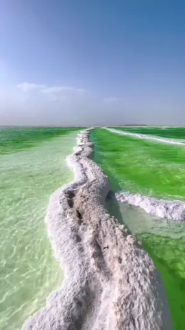 Dreamlike, carrying the story of you and me, so beautiful!😍 The second largest salt lake in the world, Qarhan Salt Lake in Qinghai, China.#治愈 #CatsOfTikTok #swim #tiktokindia #fyp #foryou #Dou #盐湖 #旅行日記