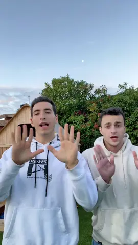 Tus brasileños de confianza @Becario 