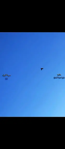 #@كرار حربي 