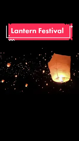 And at last I see the light✨️  The lantern festival in Imperial desert was Tangled in real life. What a magical experience ✨️🖤🕯🏮 #thelightsfestival #lanternfestival 