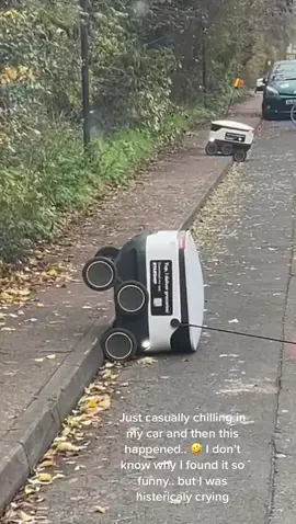 When the bots become part of your community family 🤣😭👏🏻  #fyp #trending#robots #delivery  #accident #community #fail #ilovetechnology #takingover