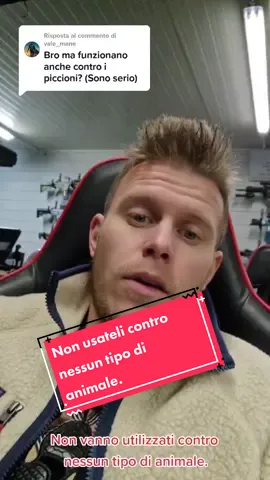 Risposta a @vale_mane Siate responsabili. #meme #verita #imparacontiktok #airsoft #softair #nikksakk 