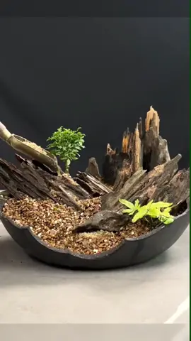 Great idea#viral #DIY #creative #diyhomedecor #decoration #satisfying #oddlysatisfying #handmade #LearnOnTikTok #skills #usa #cool #idea #gardening #useful #tipsandtricks #ideatimes #foryou #fypシ 