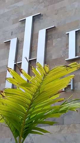 #corporeos #luzled #casino #hotel #intermaracaibo #publicidad #hotelinter #Venezuela 