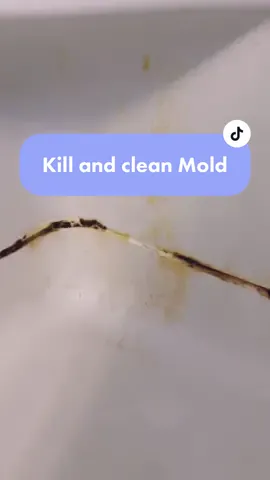 The best way to clean this mold is to actually replace it.  But if you cant this is how to clean and kill mold #CleanTok #DoTheSmartThings #mold #howtoremovemold #gross #bleach #minisoPentaClaus #cleaningshower #howtoclean #snowennecleans@Snowenne | Cleaning Motivator @Snowenne | Cleaning Motivator 
