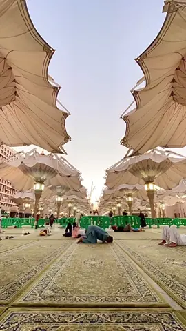 A time lapse of the umbrellas opening at Nabawi Mosque 🕌#makkah #madinah 