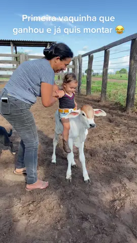 Primeira vaquinha dela 🤩#crinca #crincasnotiktok #pecuariabrasil🇧🇷🐂🐂🐂🐂 #bebe 