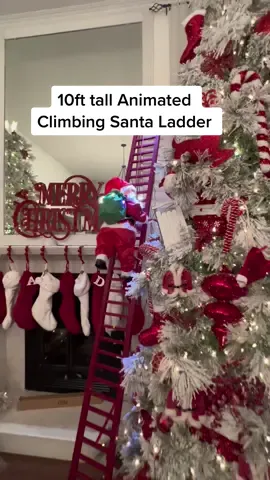 Obsessed is the only word that comes to mind about my New climbing Santa from Mr. Christmas animated decor.  One of my favorite new Christmas decor items this year to add to my collection!  #christmas #climbingsanta #animatedchristmas #christmasfavorites #christmasdecor2022 #christmasunboxing #favoritechristmasdecor #christmasmusthaves #santaclause #oversizedchristmasdecor #fypシ 