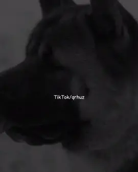 • Yine severmiydin beni beni.. #qrhuz 