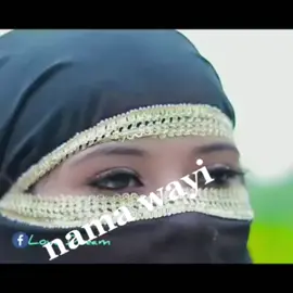 #oromootiktok❤💚❤🐅🐅 #oromootiktokfevon❤💚❤🐅🤟🤟🤟 #oromootiktok❤💚❤💪🔥🔥 #oromootiktok❤💚❤🐅🇧🇫🇧🇫🇧🇫🐅🇧🇫🇧🇫🐅 