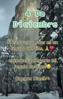 #domingo #4dediciembre #palabraspositivas #reflexiones #paratii #foryoupage #graciasdios #frases #🎄🎄🎄 #🙏😊 #regalodedios #buenosdiasmundo 