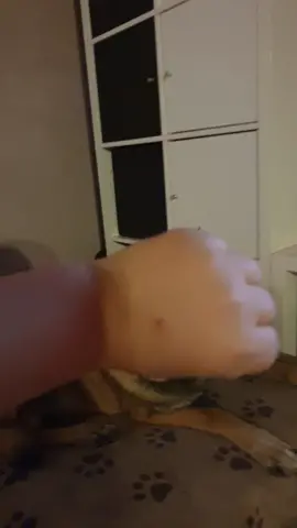 #tiktoktraditions 