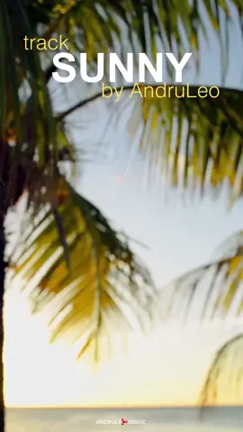 Track: Sunny - AndruLeo Music #musicforvideo #andruleomusic #tiktokmusic #backgroundmusic #popinstrumental #soundforvideo #happymusic #sunnymusic