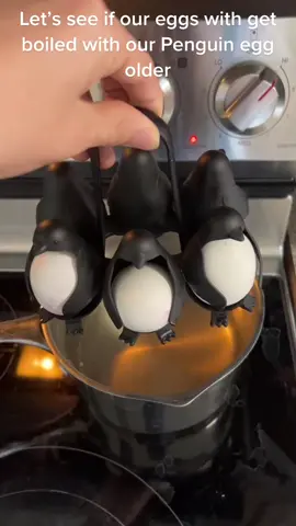 Penguin egg boiler #penguins #eggs #hardboiledegg #screammovie 