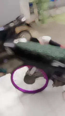 hinaan yg membuat semangat terus💪#mediaracetangerang#fyp#dragbike#sentulinternationalcircuit 