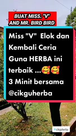 KHASIAT BUNGA RAYA PUTIH BUAT WANITA DAN LELAKI#fyp #viral #petua #herbatradisional #herbatradisional #cikguherba1 #khasiatherba #fypシ゚viral #fypシ #cikguherba #catsoftiktok #khasiat #wanita 