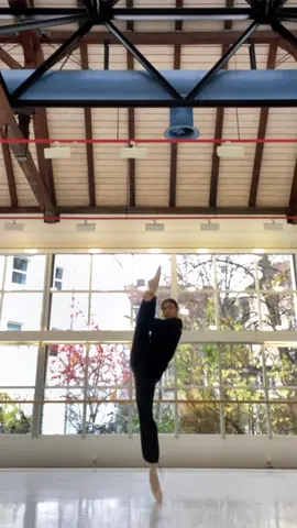 🤪🤷🏽‍♀️ #цейсон #степангіга #ballet #ballerina #balletdancer #recommendations #dance #balletstudio #balletclass #balletflex 