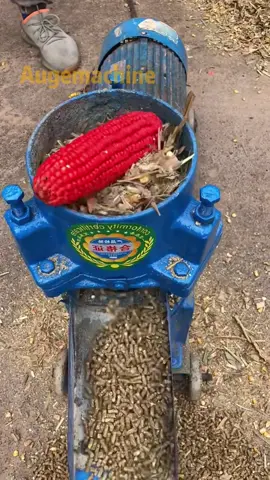 Pellet machine. #pelletmachine #feedgranulator #pelletfeed #pellet #granulator #chaffcutter 