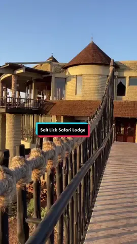 📍Salt Lick Safari Lodge Kenya😍😍 you definitely deserve this in your bucket list. The views are to due for 😍 Talk to us🙂 we shall take you🥳  #traveltiktok #fyp #kenyatravel #zurukenya #safarikenya #tembeakenya #vacationkenya #traveltok 