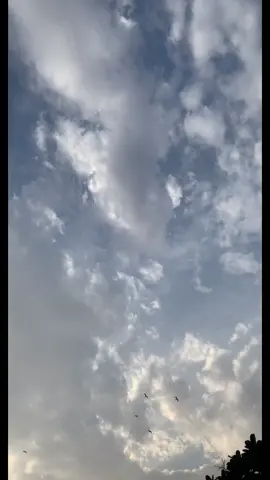 يالله بغيثٍ يسقي الارض ويرويها#آمين_يارب #سحاب#غيم#شتاء#اجواء_شتوية #اجواء_خيالية #شرقيتنا_غير #اجواء_الشرقيه 