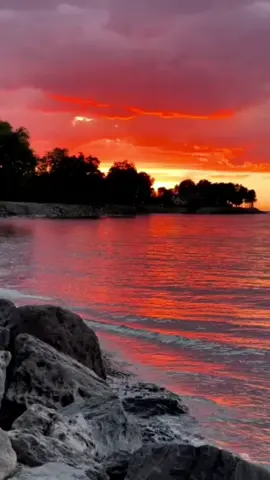 #لايك #لا_تشكو_للناس_جرح_انت_صاحبه #تصميمي 