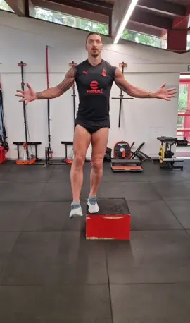 Workout 🦁 