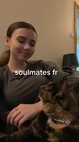 find someone who looks at you the same way Wanda looks at me… #fyp #foryou #cat #soulmate 