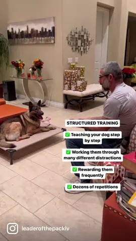 The purpose of all obedience training is to help your dog become more self regulating and reliable.   “Structured training” is the training with which you teach your dog how to respond or behave in a particular situation or situations with different applicable distractions. This is also where 90% of the rewarding and reinforcement happens.   “Real life scenarios” are where you and your dog apply what was learned. Accountability is the biggest factor. with or without food or the promise of a reward, your dog must do as taught and told.   The more you have structured training that is 100% focused on a specific goal in a particular situation, the more you can rely on your dog to self regulate and respond accordingly.   Ultimately, this is what we all strive for. A dog who “knows better”. A dog who, in this case will stay on their bed even if their favorite ball is tossed on the floor.   #keepcalmandtrainyourdog #dogtraining101 #obedience #germanshepherd #dogtrainingtips #dogsta #packleader #balanceddogtraining