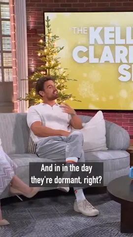 poor theo #theojames #interview #actor #fy #fyp #kellyclarksonshow #kellyclarkson #idinamenzel #thewhitelotus 