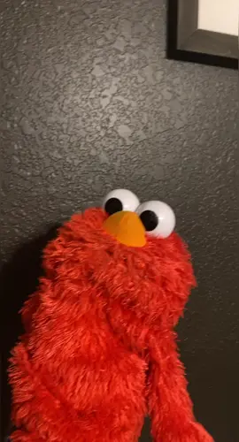 Elmos ABCs 