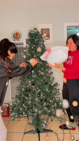 🎄🎄 #lanavidadesmiepocafavorita #humor #navidad 